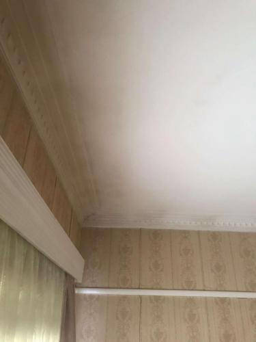 IMG 1800
