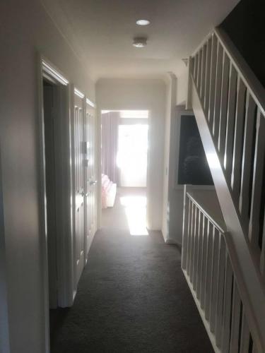 IMG 1823